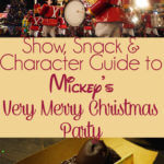 15 Frequently Asked Question Questions for Mickey's Very Merry Christmas Party