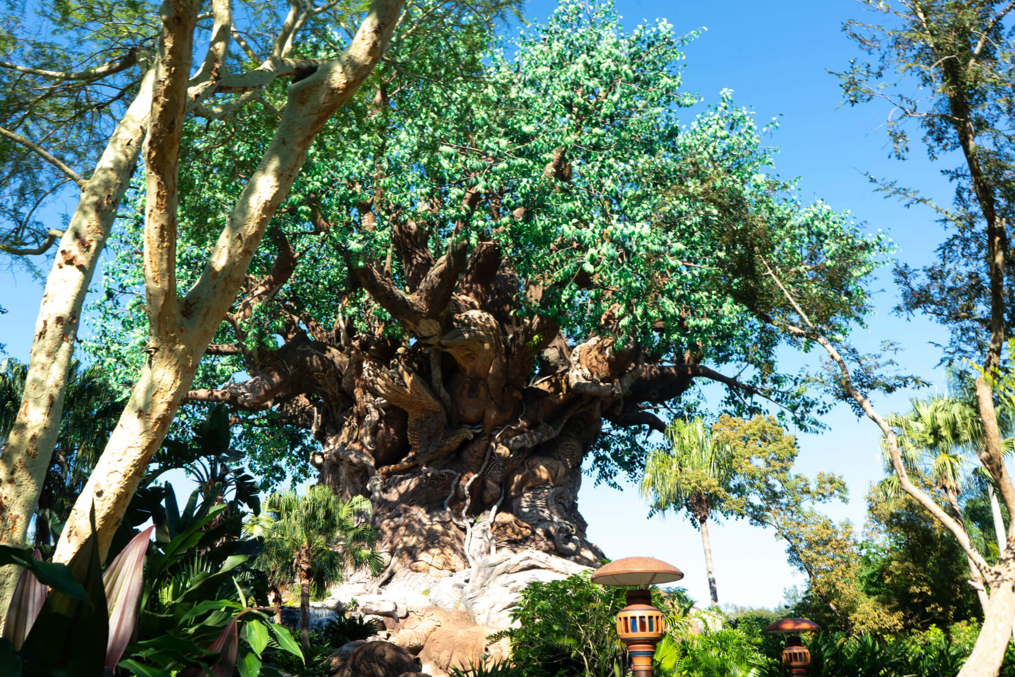 15 Simple Ways to Save Money on Your Disney World Vacation