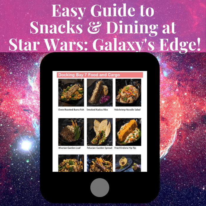 Easy Guide to Snacks and Dining at Star Wars: Galaxy's Edge