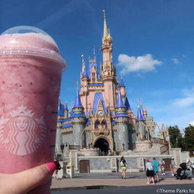 The Best Places to Eat Keto at the Magic Kingdom in Disney World